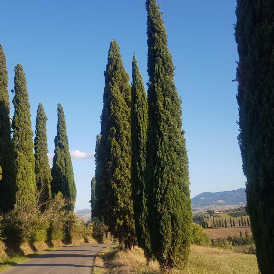 Dimora In San Quirico D'Orcia Appartement Buitenkant foto