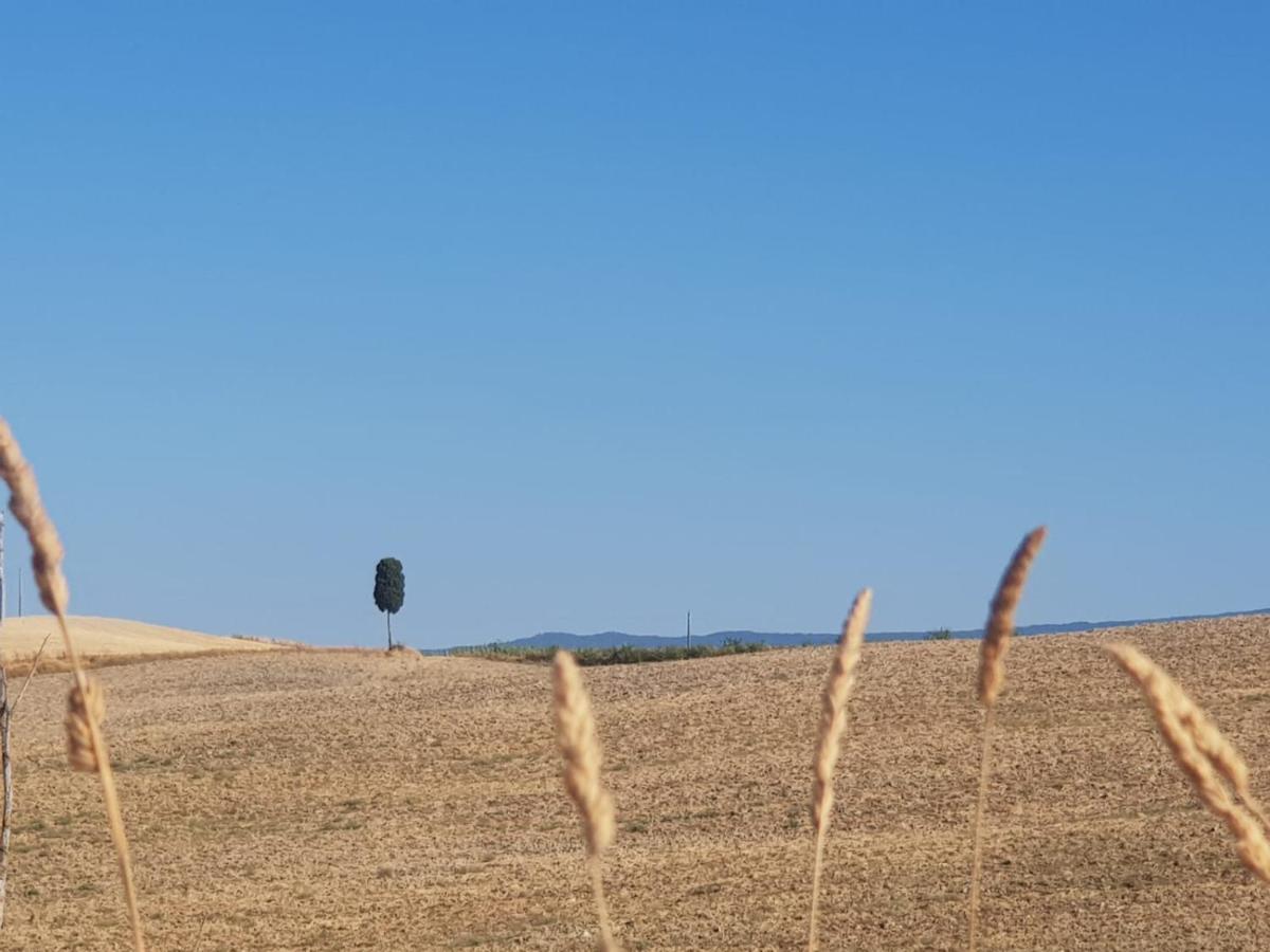 Dimora In San Quirico D'Orcia Appartement Buitenkant foto