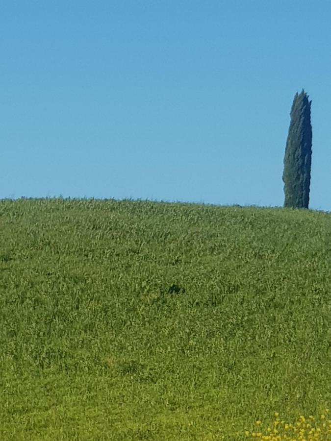 Dimora In San Quirico D'Orcia Appartement Buitenkant foto