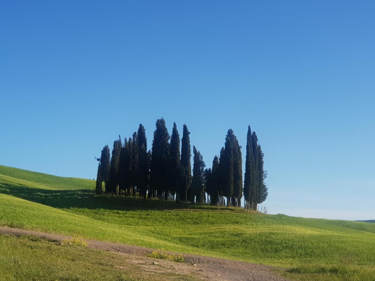 Dimora In San Quirico D'Orcia Appartement Buitenkant foto